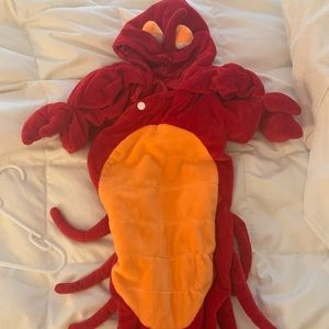 Baby Lobster Bunting Costume